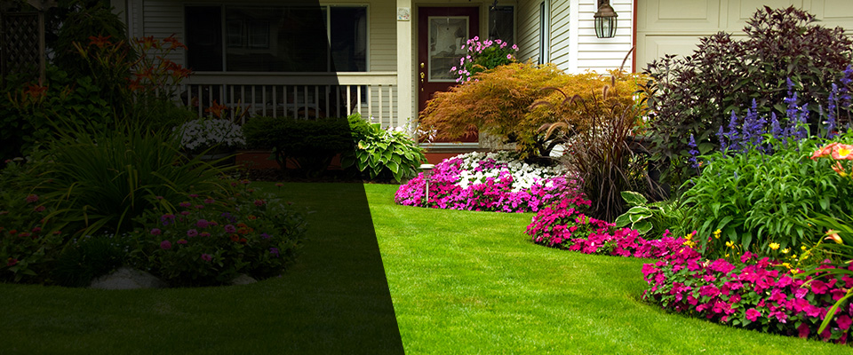 Lathrop Landscapers